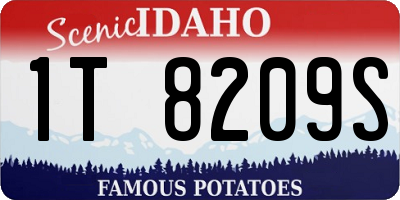 ID license plate 1T8209S