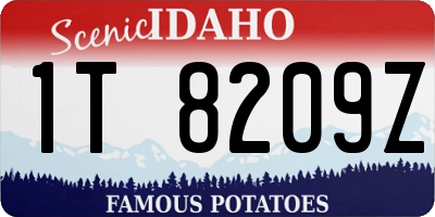ID license plate 1T8209Z