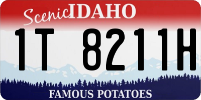 ID license plate 1T8211H