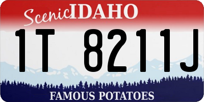 ID license plate 1T8211J