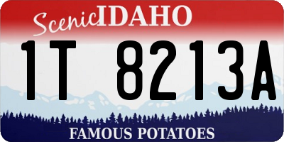 ID license plate 1T8213A