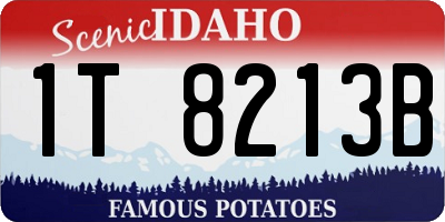 ID license plate 1T8213B