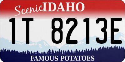 ID license plate 1T8213E