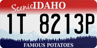 ID license plate 1T8213P