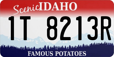 ID license plate 1T8213R