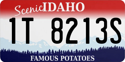 ID license plate 1T8213S