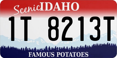 ID license plate 1T8213T