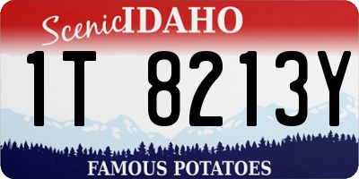 ID license plate 1T8213Y