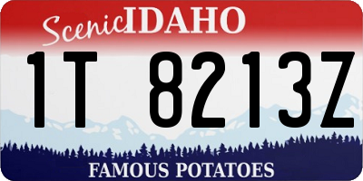 ID license plate 1T8213Z