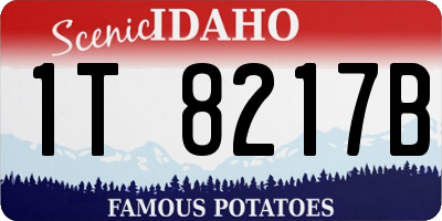 ID license plate 1T8217B