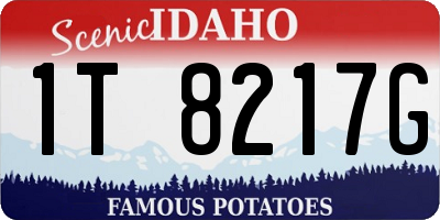 ID license plate 1T8217G