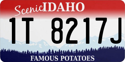 ID license plate 1T8217J