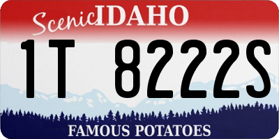ID license plate 1T8222S