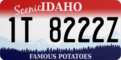 ID license plate 1T8222Z