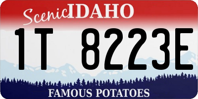 ID license plate 1T8223E
