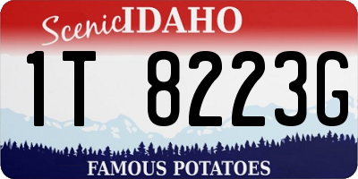 ID license plate 1T8223G