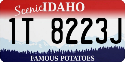 ID license plate 1T8223J