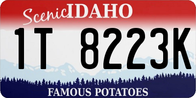 ID license plate 1T8223K