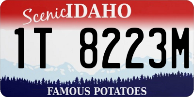 ID license plate 1T8223M