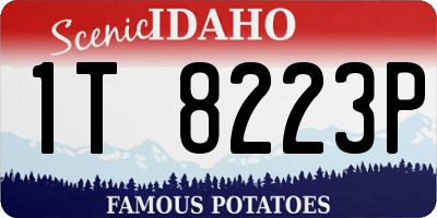 ID license plate 1T8223P