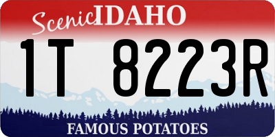 ID license plate 1T8223R