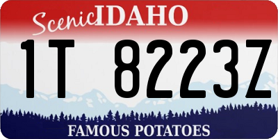 ID license plate 1T8223Z