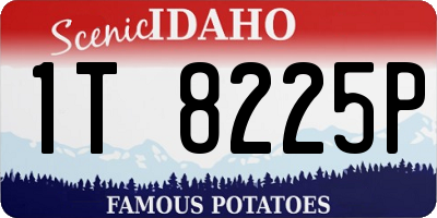 ID license plate 1T8225P