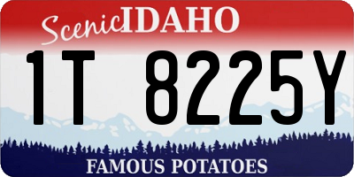 ID license plate 1T8225Y