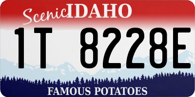 ID license plate 1T8228E