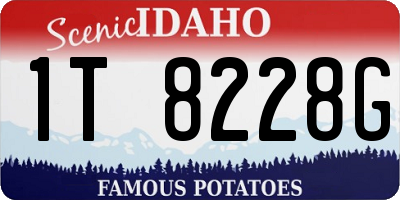 ID license plate 1T8228G