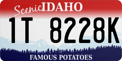ID license plate 1T8228K