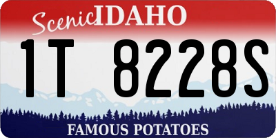 ID license plate 1T8228S