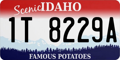 ID license plate 1T8229A