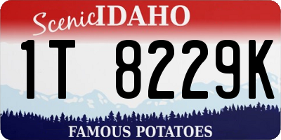 ID license plate 1T8229K
