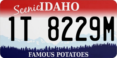 ID license plate 1T8229M