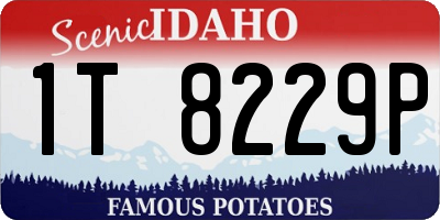 ID license plate 1T8229P