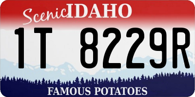 ID license plate 1T8229R
