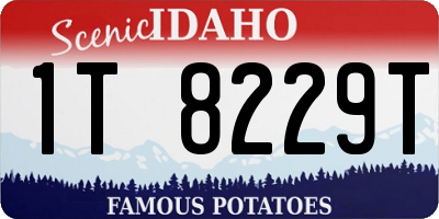 ID license plate 1T8229T