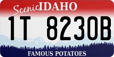 ID license plate 1T8230B