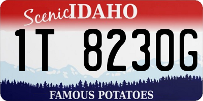 ID license plate 1T8230G