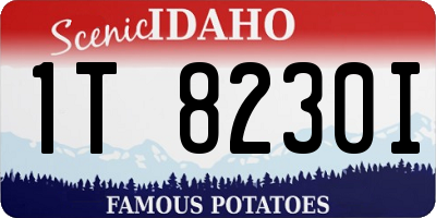ID license plate 1T8230I