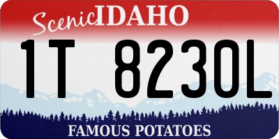 ID license plate 1T8230L