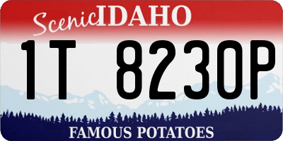 ID license plate 1T8230P