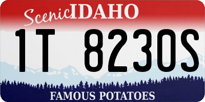 ID license plate 1T8230S