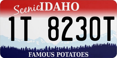 ID license plate 1T8230T