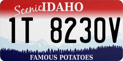 ID license plate 1T8230V