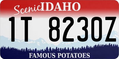 ID license plate 1T8230Z