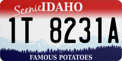 ID license plate 1T8231A