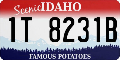 ID license plate 1T8231B