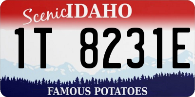ID license plate 1T8231E